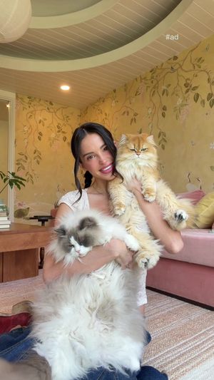 Video post by @lyssielooloo on TikTok