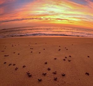 Image post by @gopro on Instagram