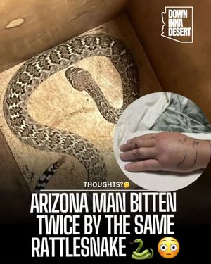 Image post by @downinnadesert on Instagram