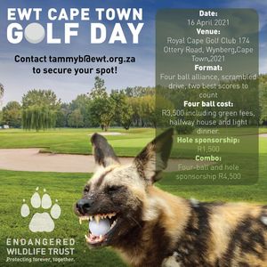 Image post by @customs08 on Instagram