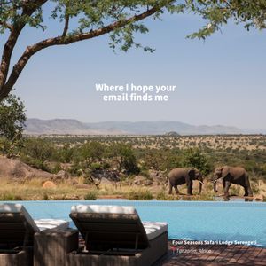 Image post by @americanexpress on Instagram
