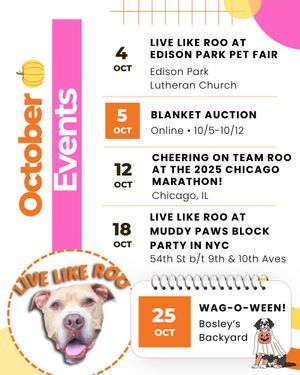 Image post by @livelikeroofoundation on Instagram