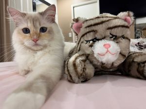 Image post by @originalsnugglepuppy on Instagram