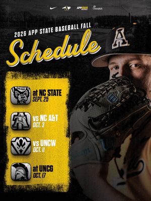 Image post by @appbaseball on Instagram