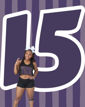 Image post by @ecuclubcheer on Instagram