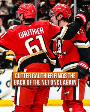 Image post by @nhl on Instagram