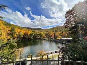 Image post by @montreat on Instagram