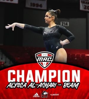 Image post by @niugymnastics on Instagram
