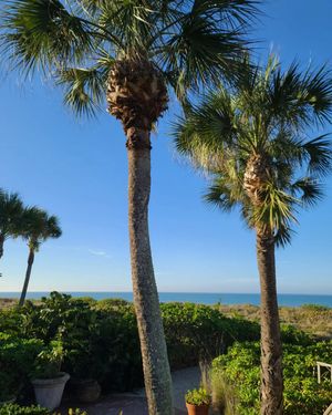 Image post by @visitsarasotacounty on Instagram