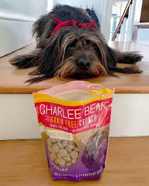 Image post by @charlee_bear_dogtreats on Instagram