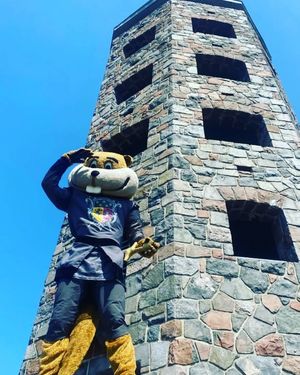 Image post by @goldythegopher on Instagram
