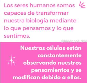 Image post by @bioenpositivo on Instagram