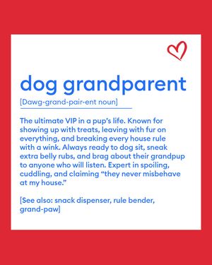 Image post by @petsmart on Instagram