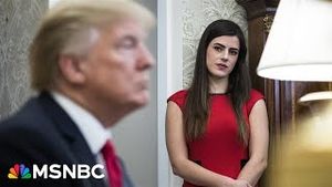 Video post by @msnbc on YouTube