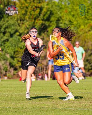 Image post by @lilaxjournal on Instagram