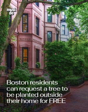 Image post by @mustdoboston on Instagram