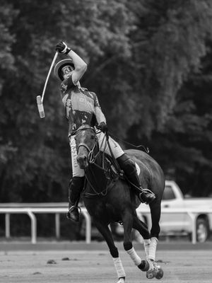 Image post by @greenwichpoloclub on Instagram