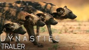 Video post by @bbcearth on YouTube