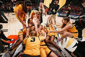 Image post by @iowahawksnest on Twitter