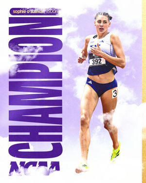 Image post by @UWTrack on Twitter/X
