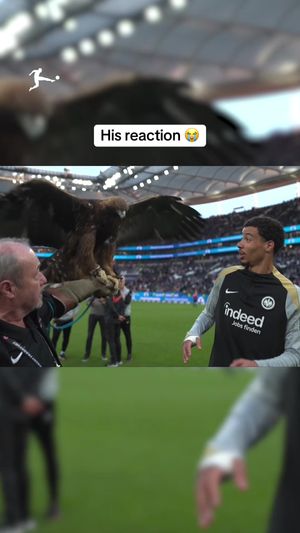 Video post by @bundesliga on TikTok