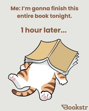 Image post by @bookstrofficial on Instagram