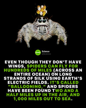 Image post by @science on Instagram