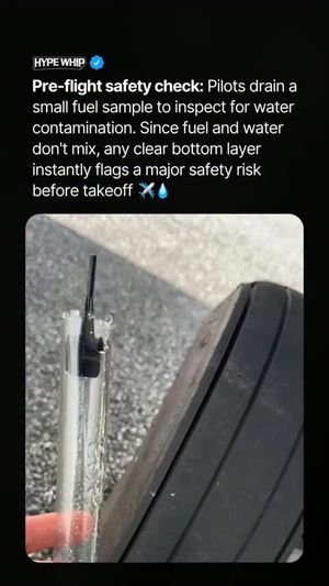 Image post by @hypewhip on Instagram