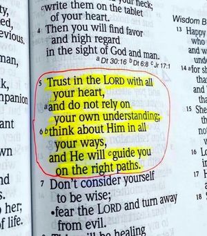 Image post by @clifmarshall on Instagram