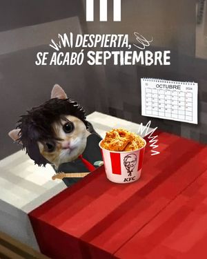 Image post by @kfcecuador on Instagram
