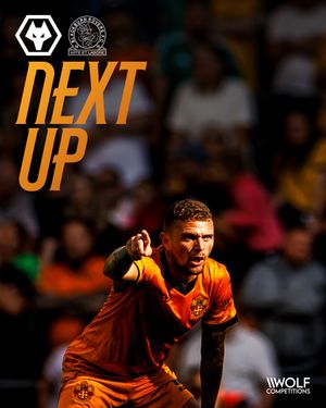 Image post by @wolves on Instagram