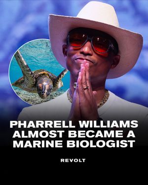 Image post by @revolttv on Instagram