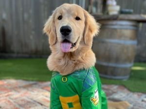 Image post by @uoregon on Twitter