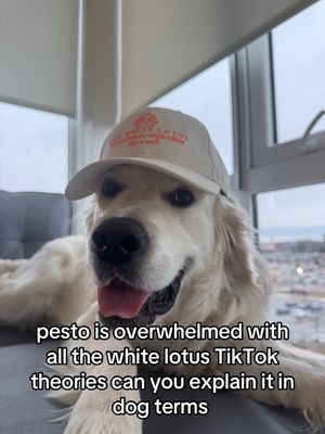 Video post by @foodychannel on TikTok