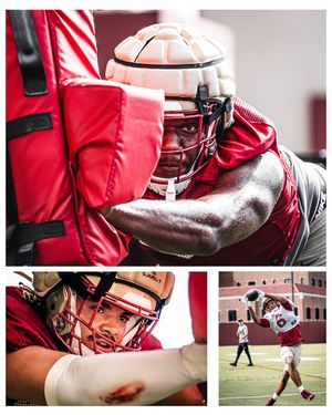 Image post by @tpott_photo on Instagram