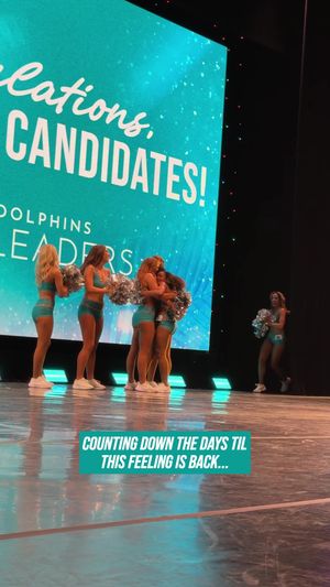Video post by @dolphinscheer on TikTok