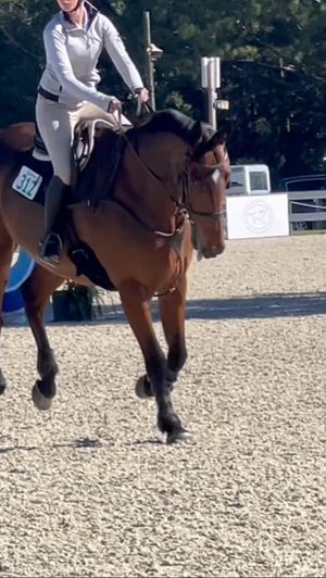 Video post by @clairecumbee on Instagram
