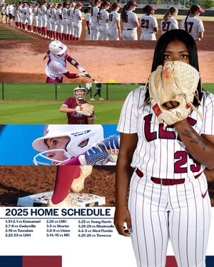 Image post by @leeusoftball on Instagram