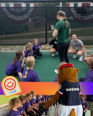 Image post by @littleleague on Instagram