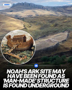 Image post by @dailymail on TikTok