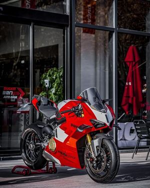 Image post by @panigalers on Instagram