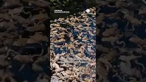 Video post by @accuweather on YouTube