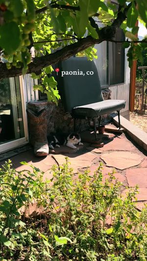 Video post by @filmbychloeg on TikTok