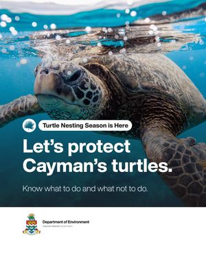 Image post by @caymangov on Instagram