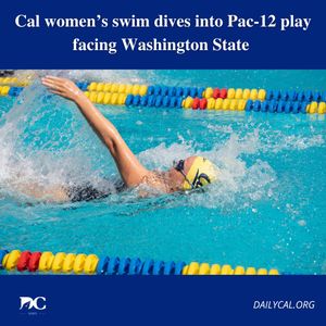 Image post by @dailycalsports on Instagram