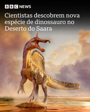 Image post by @bbcbrasil on Instagram