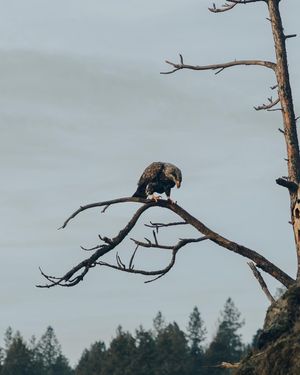 Image post by @takenbykathleen on Instagram