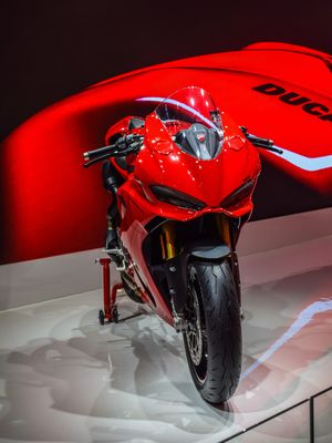 Image post by @panigalers on Instagram