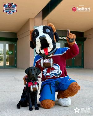 Image post by @Avalanche on Twitter