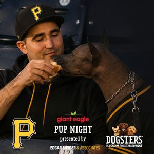 Image post by @dogstersicecream on Instagram